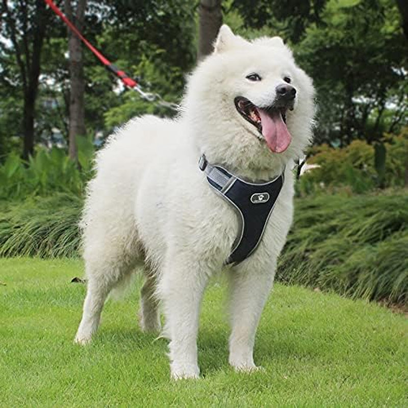 Dog Collar Harnesses Leashes Traction Rope for Dogs Reflectivedog Collars Breathable Nylon Belt Dog Collars Washable Dog Collars Portable Traveldog Collars Multiple Colors… (XL, Dark Blue)